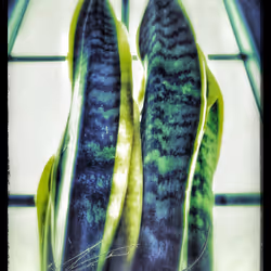 3787080761074609709675817509753112159059746763483256848434353552298849861633