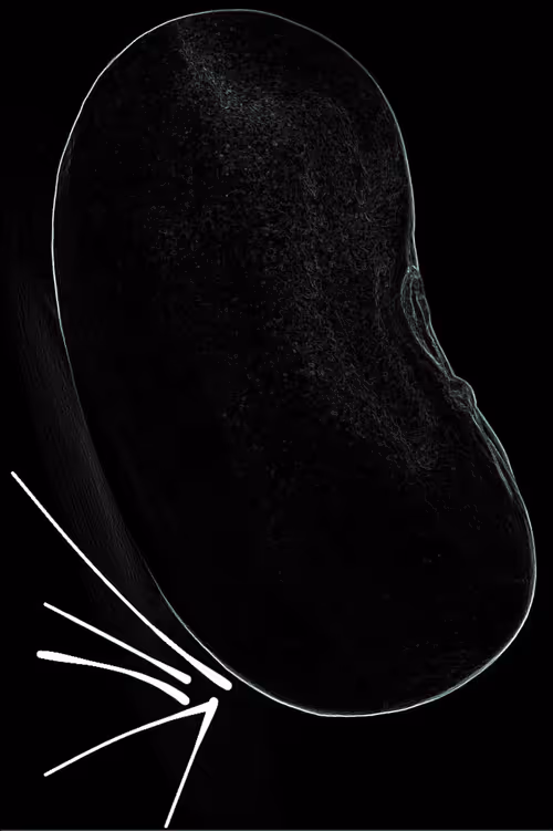 Item #28863644346887406121334048118409569741835316109588449396452983052758786506753 Media