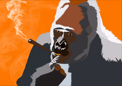 Item #46679994496108624530020148644785155104419172278486625888968680938833186914305 Media