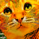 20636339082616057628411461047359145718588907378005939801368308022423953866753