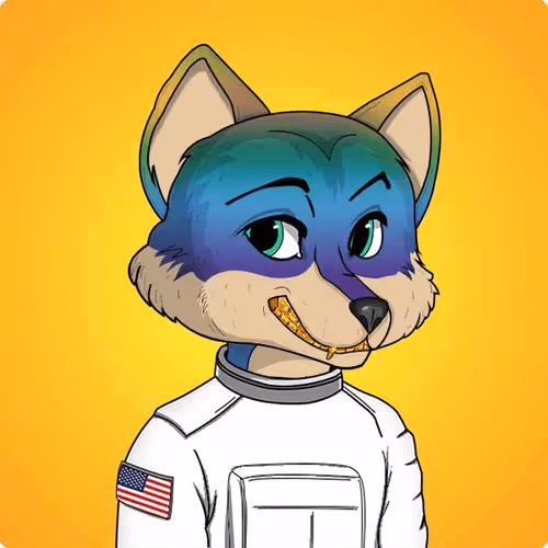 Item #37481833239462582331583622866539014105629458165600853594629747886978993487873 Media