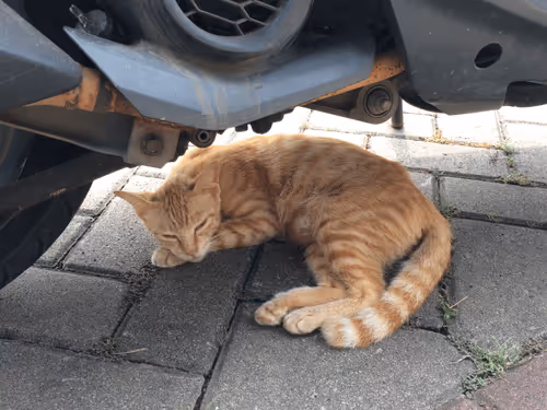 Item #48379251883092317443194330208135156888907821779132589659342184533151719620609 Media