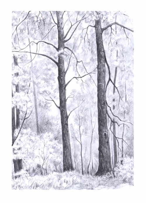 Item #74885386125841679683657863817676557915419392690100599251571086952787683049473 Media