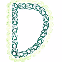 114976545493241493257487804566862386491239486968085247361465237004097817673729