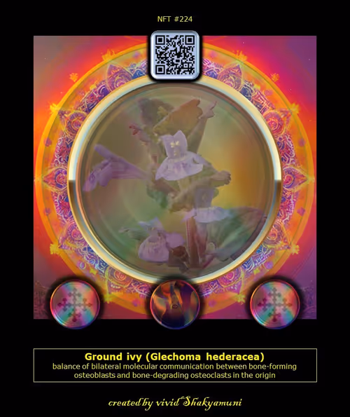 Item #13517900541151564714530316327092840369717157763919699334434685611657727582904 Media