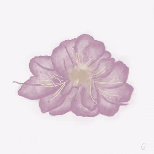 Item #5806560429028510016927636303875382551208880304073644506271374117097432940545 Media