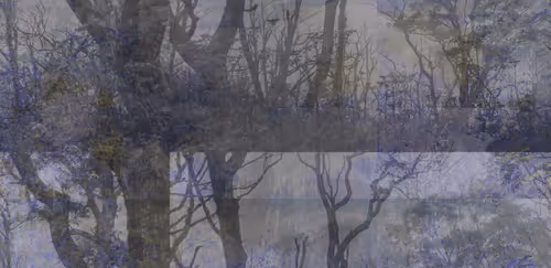 Item #88040907221947090454850026649878117653263205862123674841520463878942579752961 Media