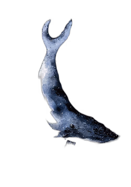 Item #46304094613724871051746606201869162156631433025373697716598318696712504344577 Media