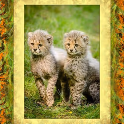 108065665434435766760522700651324844344204555372000129092130959879251093880842