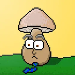 33741781216748986518517832568595493503429706584982134247768926120661932310529