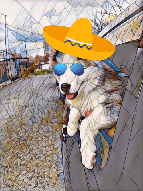 Item #14146803547502692326927891051042067375299252267451974357825757772805622988801 Media