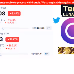 Cryptoworld in 2022