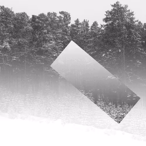 Rectangle (Exclusive Edition)