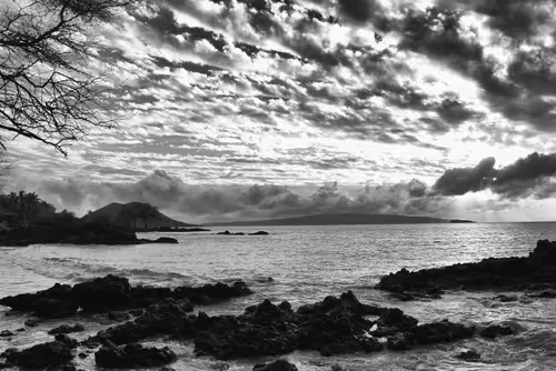 Item #16169064393399629467859942900905405490006492366557123064973208568029232758785 Media