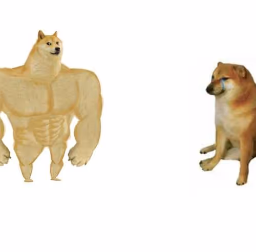 Nadzeya19 Collection