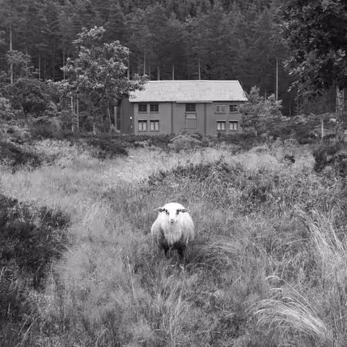 Item #17246773967106427395426250000565453120833818394642551124170626589811714031617 Media