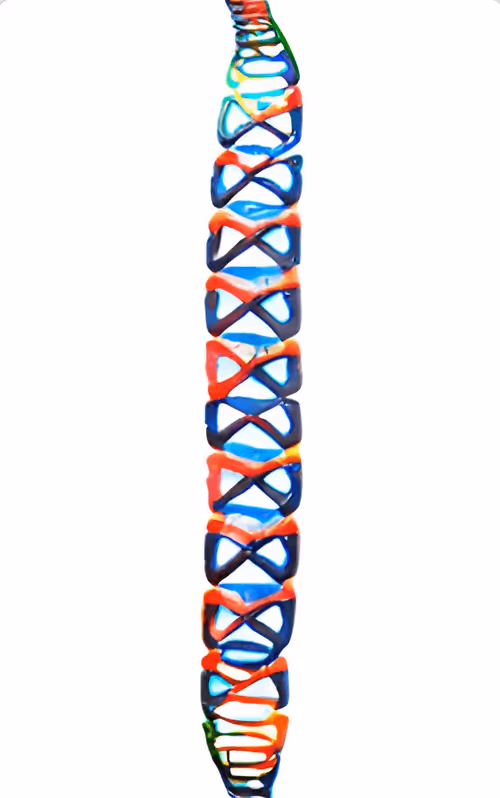 Item #11241649519908820062846901602157113259667650437004702030017050933619570245633 Media