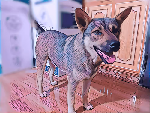 Item #74122138759525378795667626270866148487737655975912799548892275416119799447553 Media