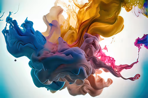 Item #62432257265967185975150934215067564677948762913954192794517026421637654773761 Media