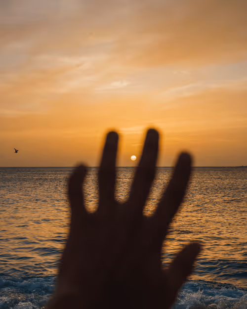 Item #91884751386555592459033605912694865433331180652218526352024290654957477036033 Media