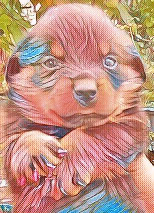 Item #24515379016287833430110687259411372809394655166763807580583558314789982699521 Media