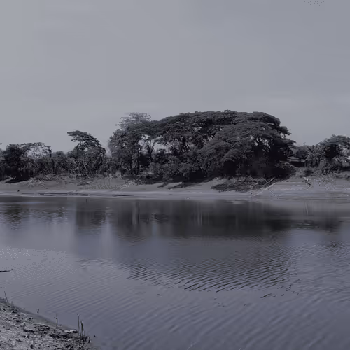 Item #68559569431204229879954683304597208139439570669218228257319616607906351284225 Media