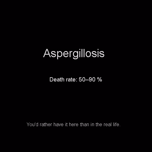 Item #81808085032476359797455255547863298923837726005960725874573045533224938243048 Media