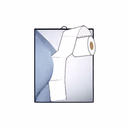 toilet paper #2