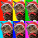 115496241714811244889012197613278492833491320574492210270165209890846408704005
