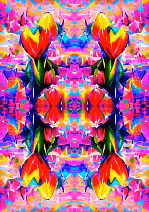 Item #113439454691178996606333270529637530145403269935042134011405949988103197294603 Media