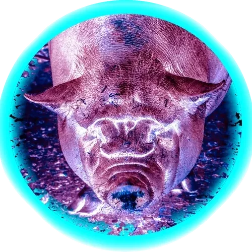 107530905304618675302548739526775943268479217550682915829596196247107522265089