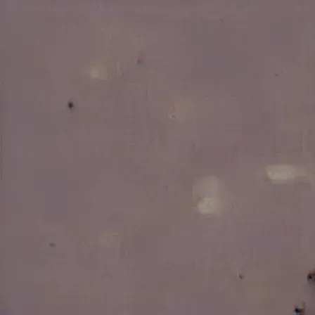 Item #69582821610154797198649513452028805967157135500521546609678814664017401872385 Media