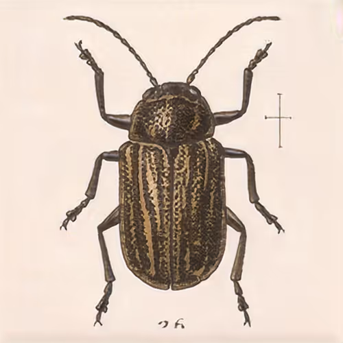 Item #58241160855422744817468407088196322100109565521561100950236904296842925178881 Media