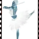 58693213173682342252087607542427943757734414203884577956818432942401539538949