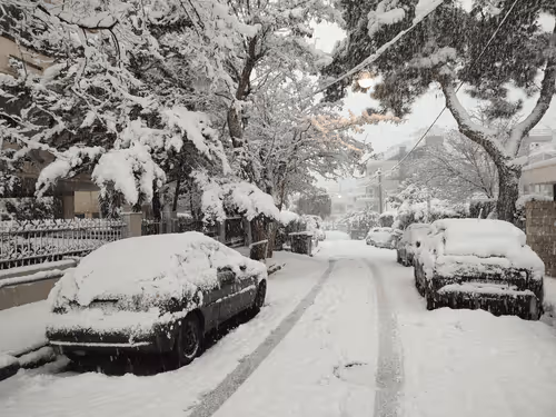 Item #7379897792224650778515038277898671210124643845639477696786181516808962441226 Media