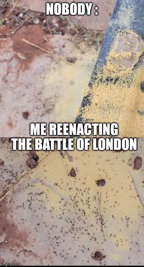 Item #88568704559234525769196153094528870241294849623548788281519482725901363314689 Media