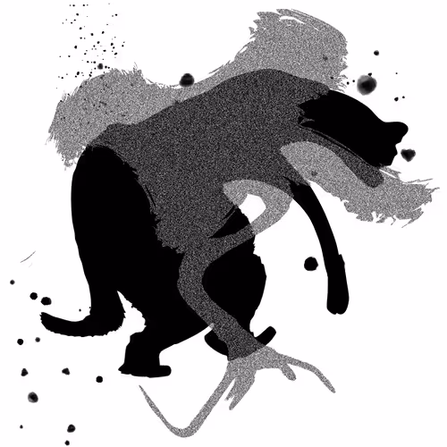 Item #82374071582842058657190317904606839593636845188069677966940770779164563210241 Media