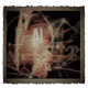 110259008912733527467090861343688571720903414499268960253276457338207161286657