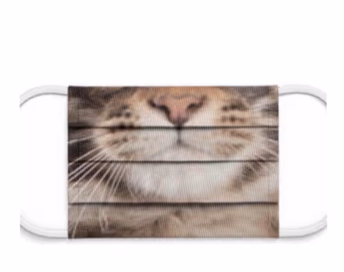 Item #10377994348723267070232788418862827414137458588345052989785880285322728701953 Media