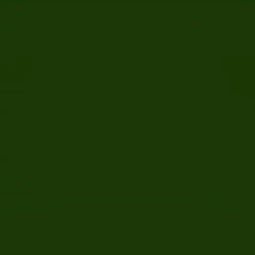 Item #25071347152340573686615188377483833249030808210310028723639908749548892192769 Media