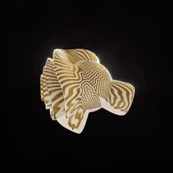 83535453821146316306178013320250520096293247508023240542449518725316380459009