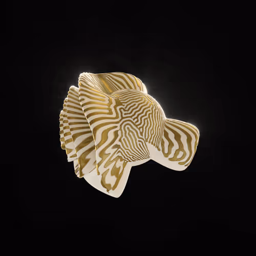 Item #83535453821146316306178013320250520096293247508023240542449518725316380459009 Media