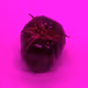 110692649264369377071495627220392981109400302920527361961030166716259648929793