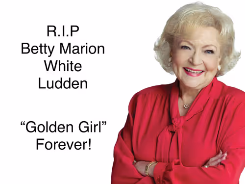 Untitled Collection #148234352