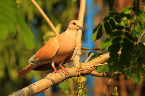 Item #81039049813216597257953829520223769972049979763513540310904561864967593132033 Media