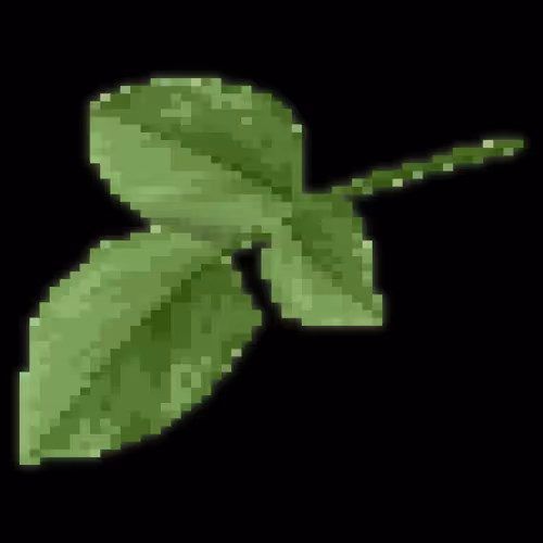 Untitled Collection #198821491