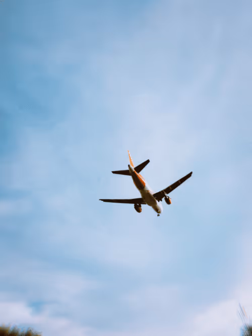 Item #36816001644917254617906175698674191035781868216999975889902342362952449916929 Media