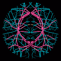 7078802064077755305879053961196844759257248211509687953083586772006204342273