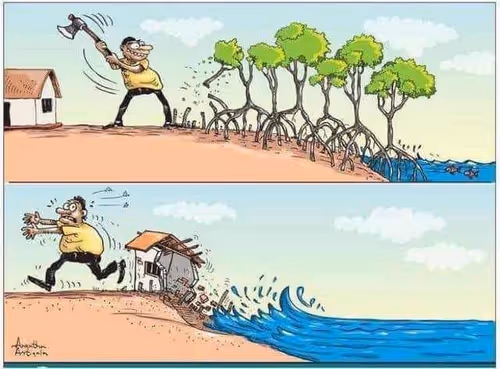 Item #83462484926125179177933876272722647181473475967863052278931111160324678483969 Media