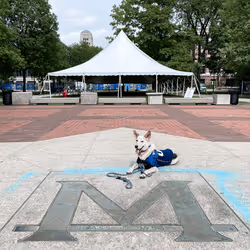 93545033271846001454118804230311667247513649279000342993662872585887203459073